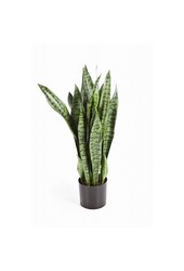 Plante artificielle Sansevieria