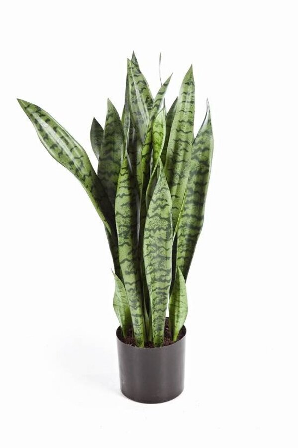 Plante artificielle Sansevieria