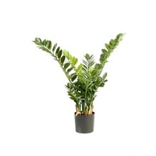 Plante artificielle