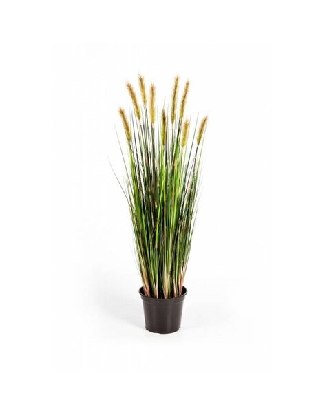 Plante artificielle