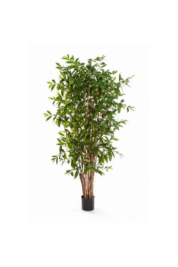 Dracaena dragon tree artificial plant