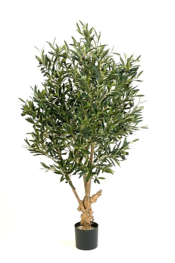 Plante artificielle torsadée d'olivier