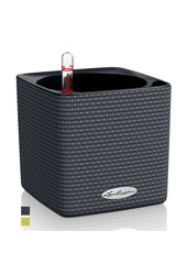 Tendance Couleur Cube 14