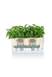 Delta Oval All Inclusive L