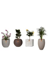 Vase élégant bas