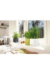 Tendance Couleur Cube 14