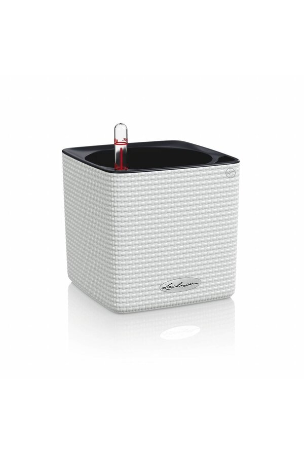 Tendance Couleur Cube 14