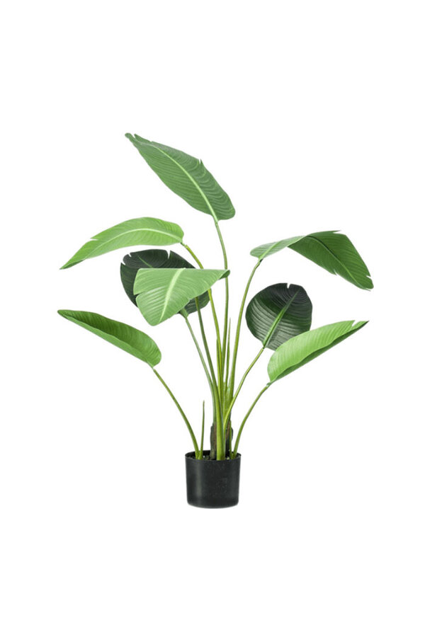 Plante artificielle Strelitzia