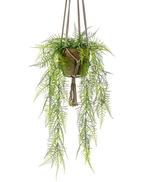 Plante artificielle