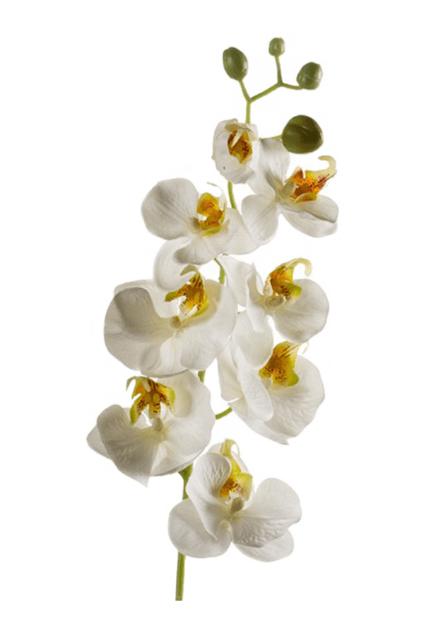 Fleur artificielle Phalaenopsis blanche