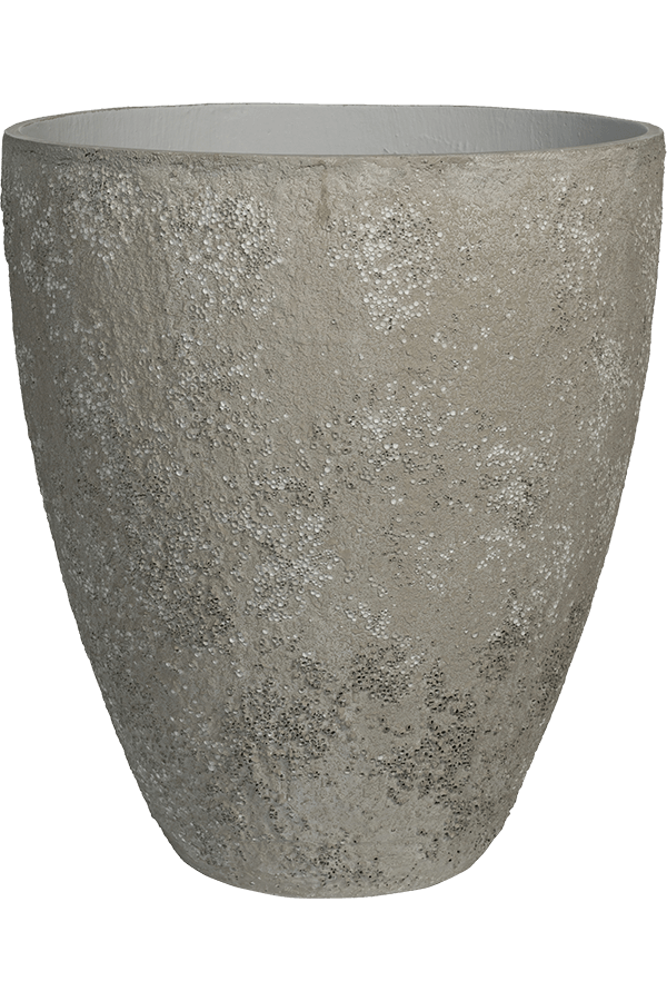 Oyster White haut