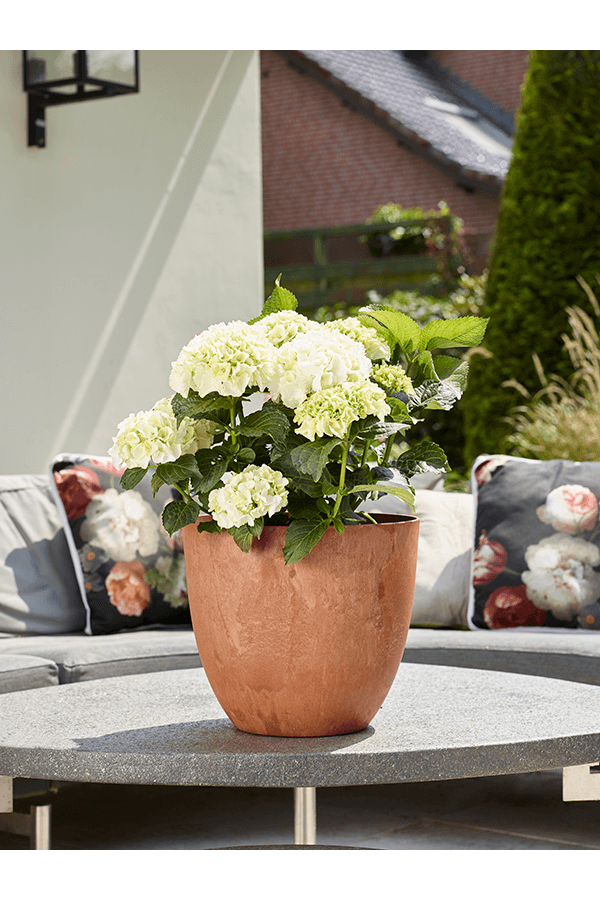 Pot Bola anthracite Ø 33 cm
