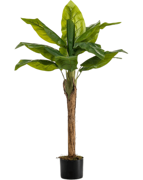Plante artificielle