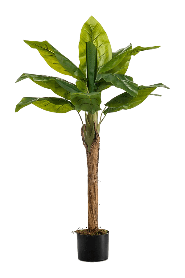 Plante artificielle de bananier