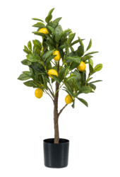 Plante artificielle de citronnier
