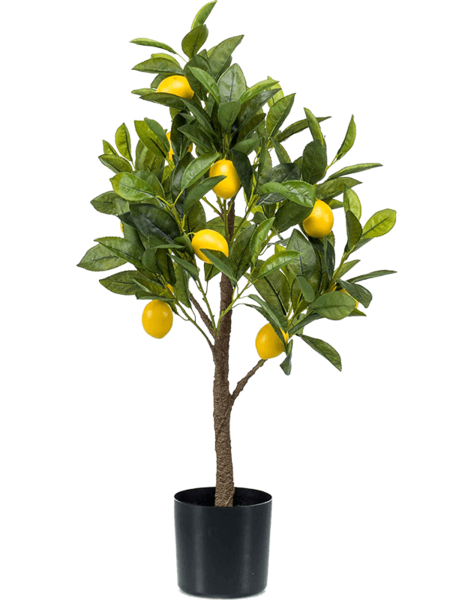 Plante artificielle