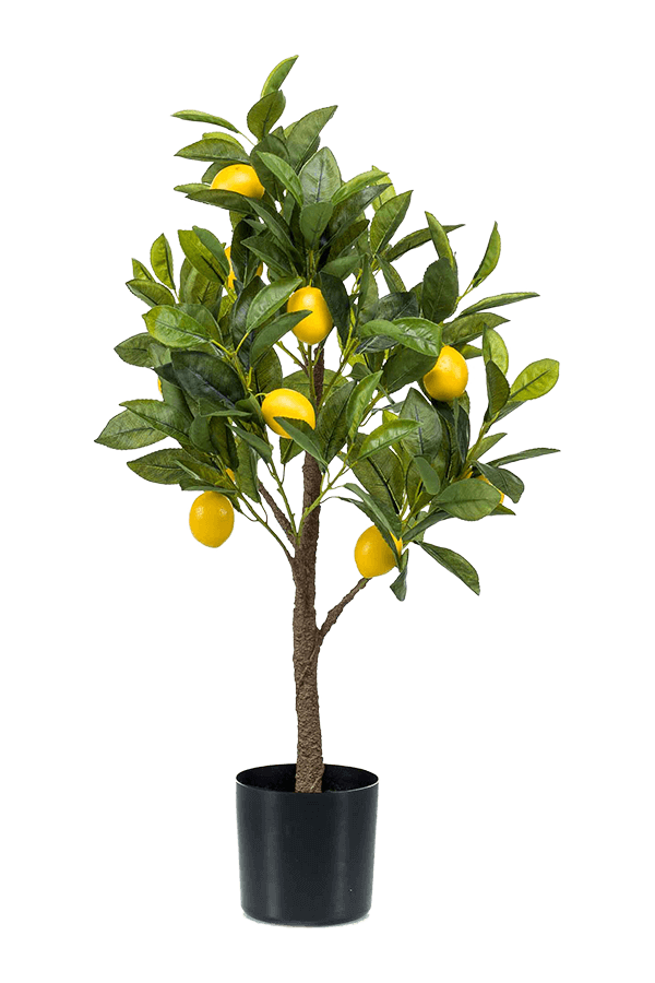 Plante artificielle de citronnier