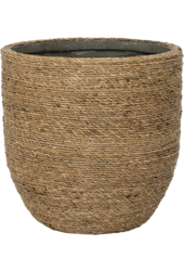 Ancona Grass M
