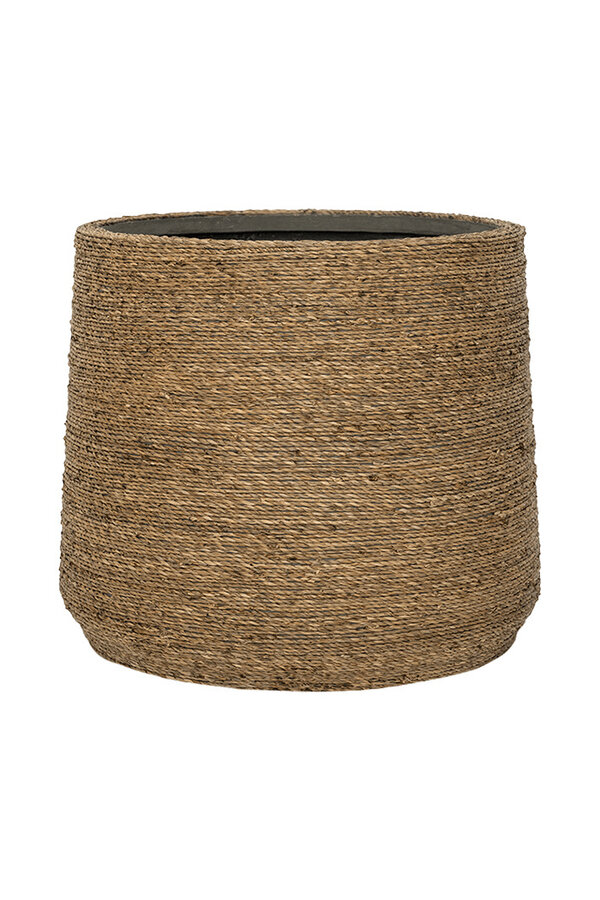 Bari Grass M