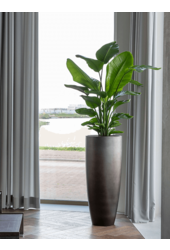 Baq Gradient Partner Matt Grey (avec plateau intérieur)