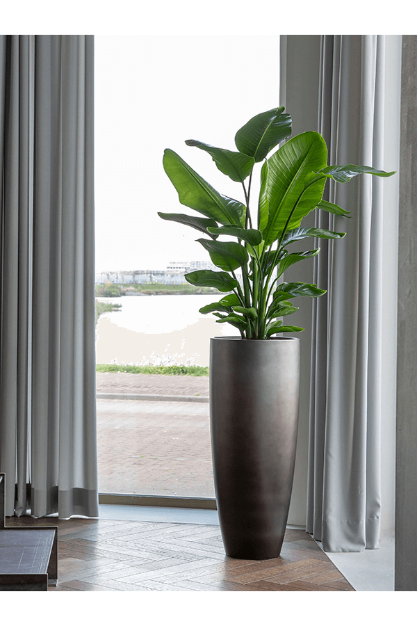 Baq Gradient Partner Matt Grey (avec plateau intérieur)