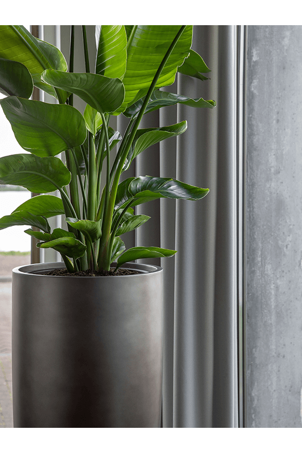 Baq Gradient Partner Matt Grey (avec plateau intérieur)