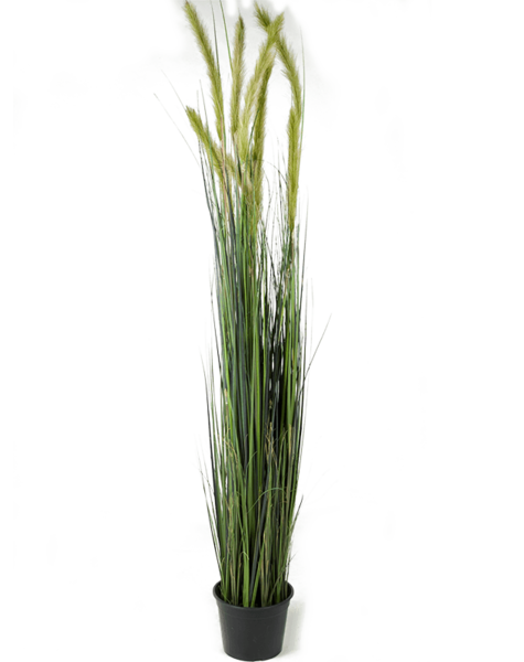 Plante artificielle
