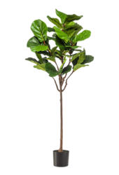 Ficus Lyrata plante artificielle