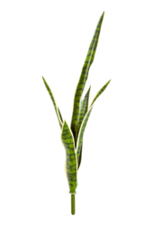 Plante artificielle Sansevieria