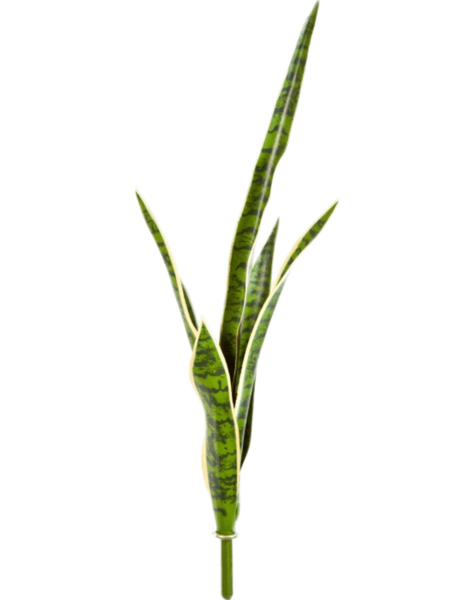 Plante artificielle