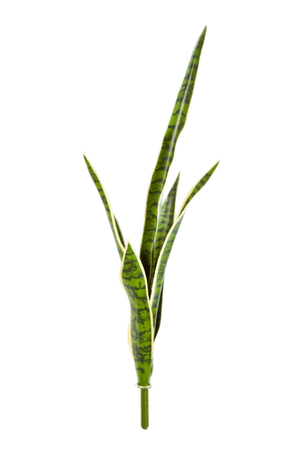 Plante artificielle Sansevieria