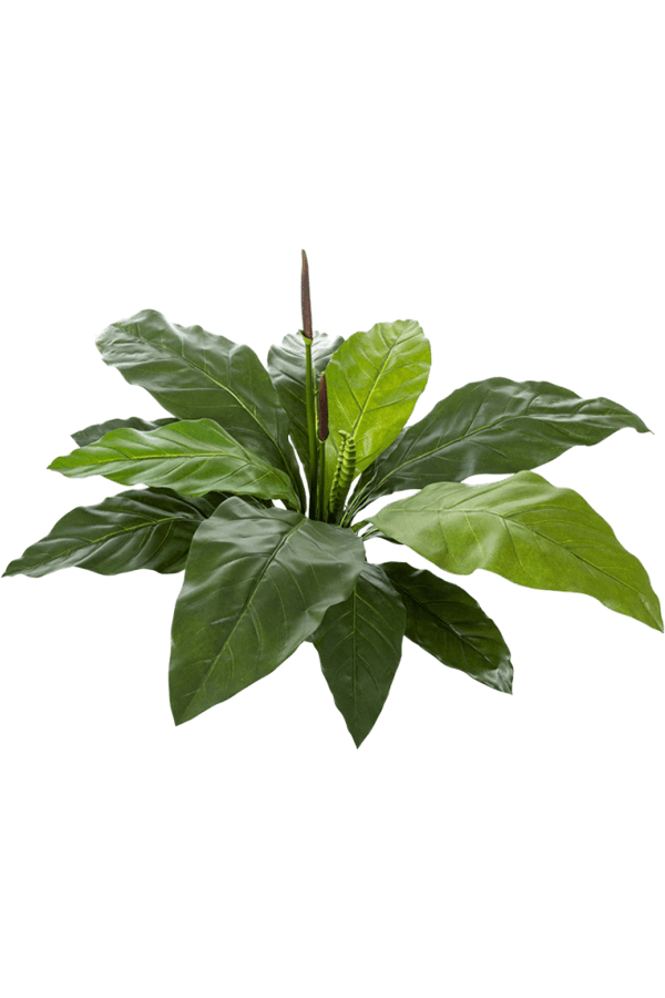 Plante artificielle Anthurium Jungle King