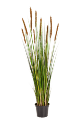 Plante artificielle Grass Foxtail