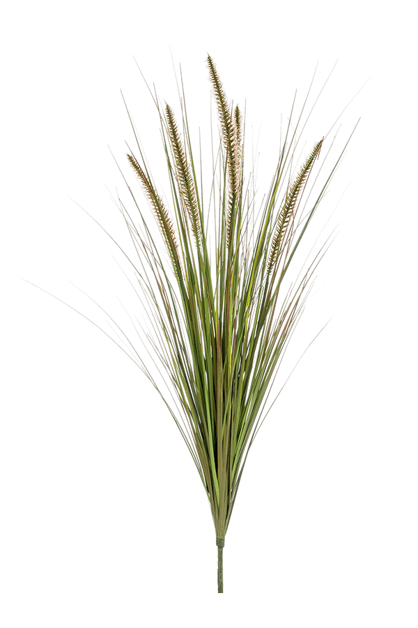 Herbe Pennisetum plante artificielle