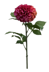 Plante artificielle Dahlia Pompon