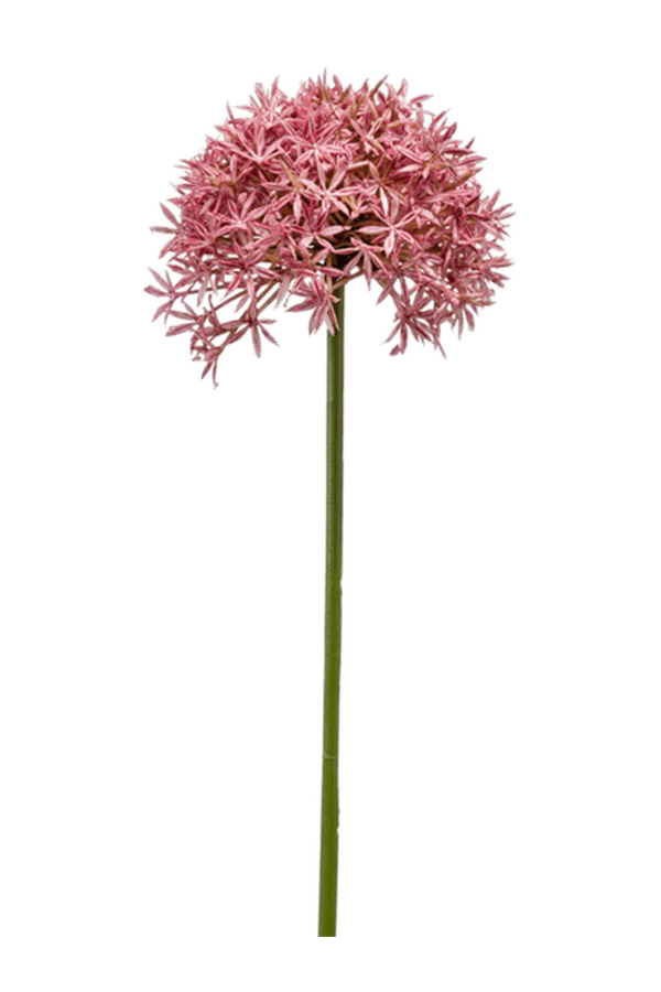 Plante artificielle Allium