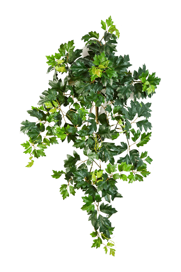 Plante artificielle de lierre