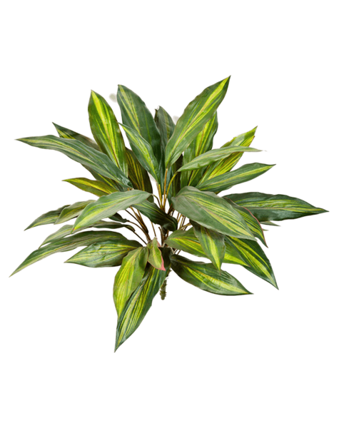 Plante artificielle