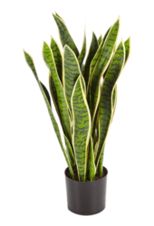 Plante artificielle Sansevieria