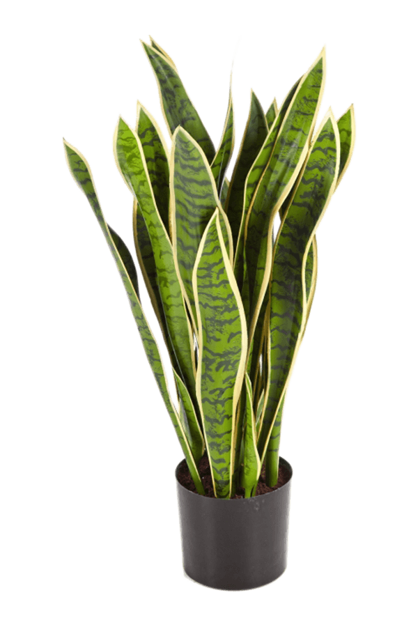 Plante artificielle Sansevieria