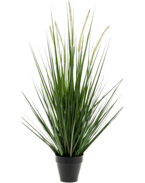 Plante artificielle
