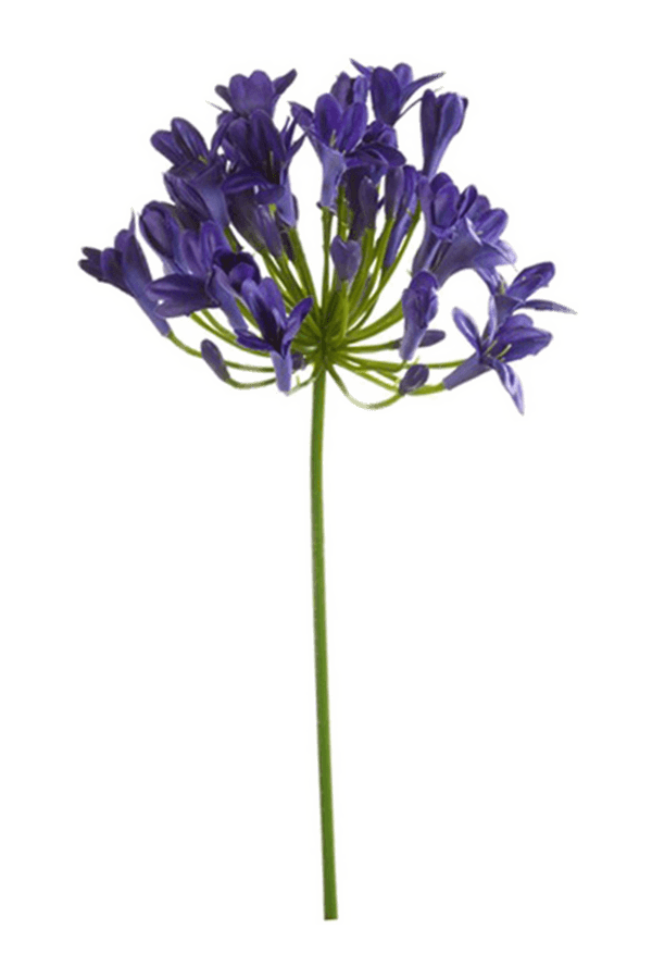 Plante artificielle Agapanthus