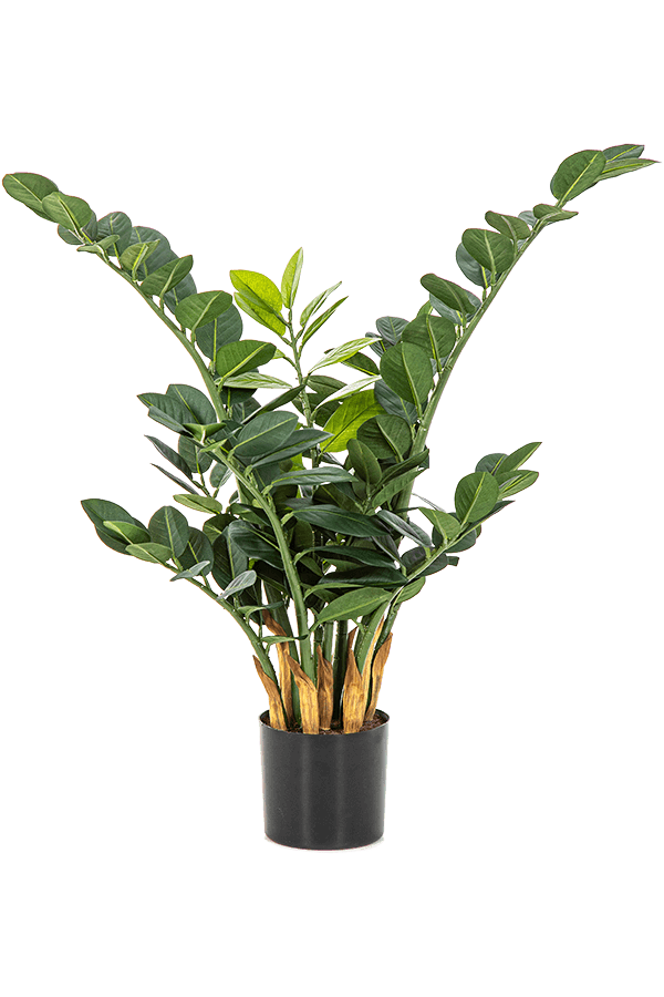 Plante artificielle Zamioculcas Zamiifolia