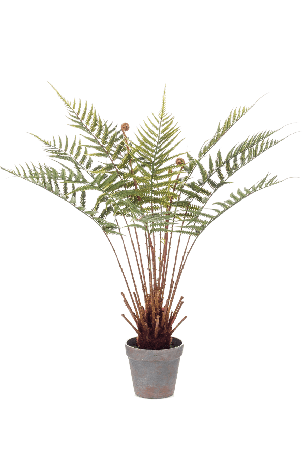 Plante artificielle de fougère Dicksonia