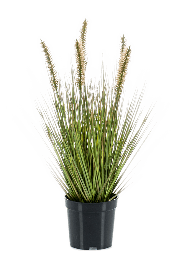 Herbe Pennisetum plante artificielle