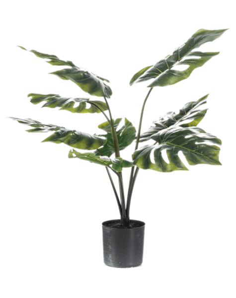 Plante artificielle