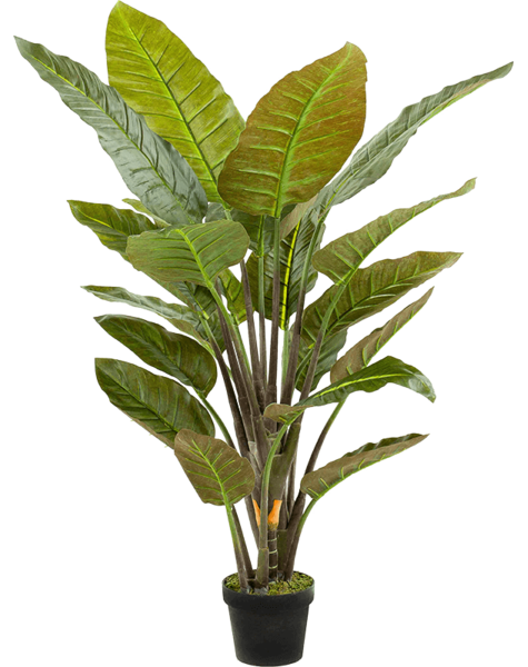 Plante artificielle