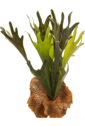 Plante artificielle de fougère Staghorn