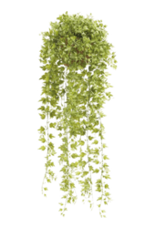 Plante artificielle de lierre
