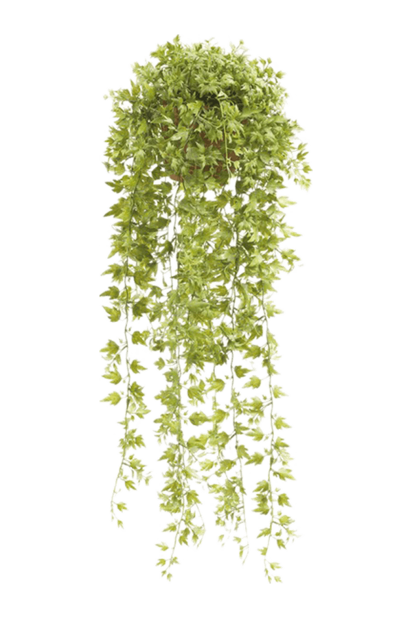 Plante artificielle de lierre